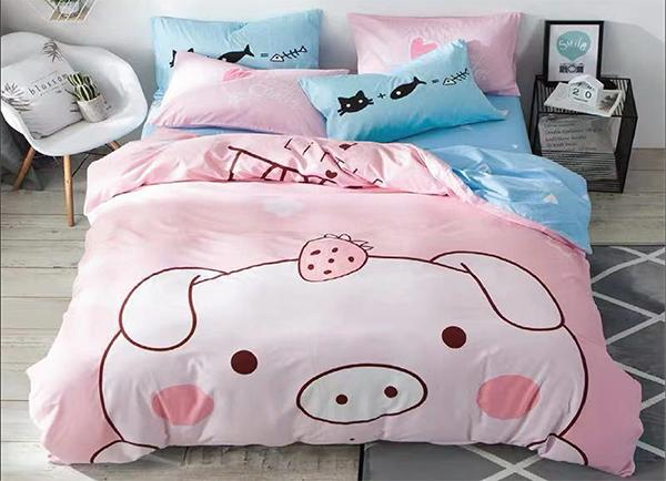 chăn ga gối đệm đẹp 